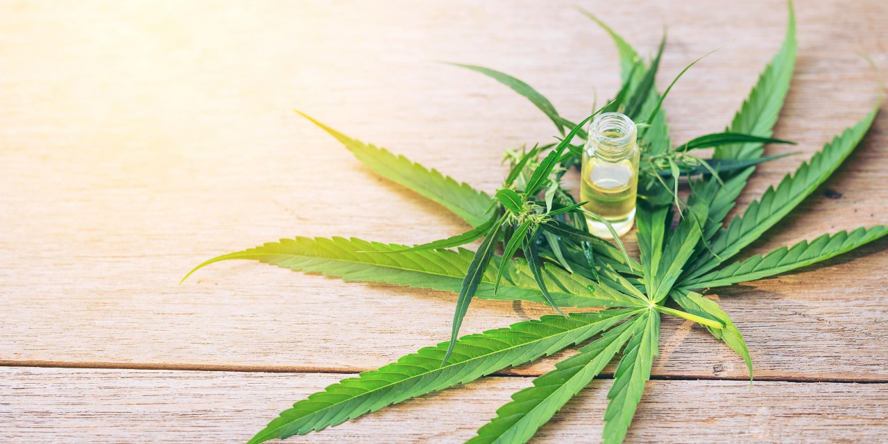 Cannabis oil therapies