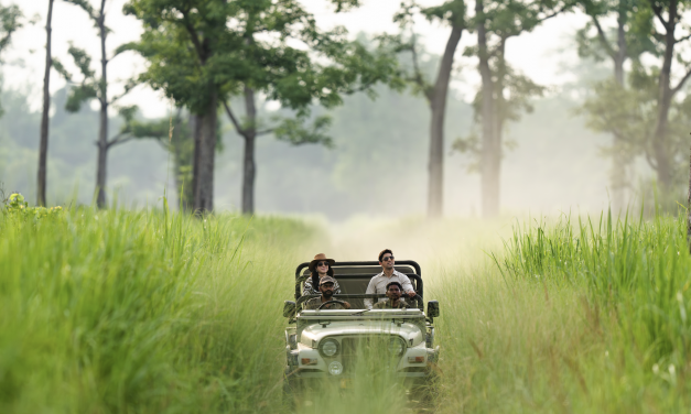 Jaagir Manor review: Tiger-spotting in Northern India